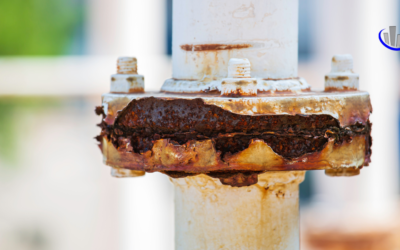 How Salt Air Affects Buildings Near the Coast